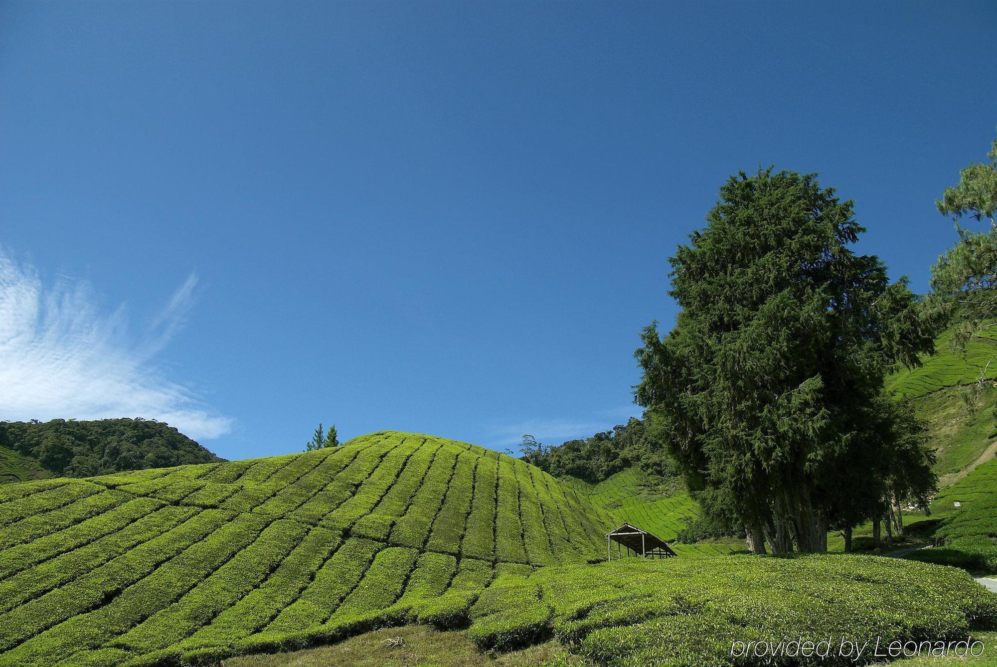 Cameron Highlands Resort - Small Luxury Hotels Of The World Exterior photo