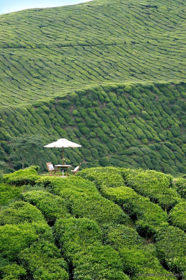 Cameron Highlands Resort - Small Luxury Hotels Of The World Exterior photo